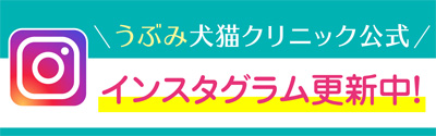 公式インスタグラム